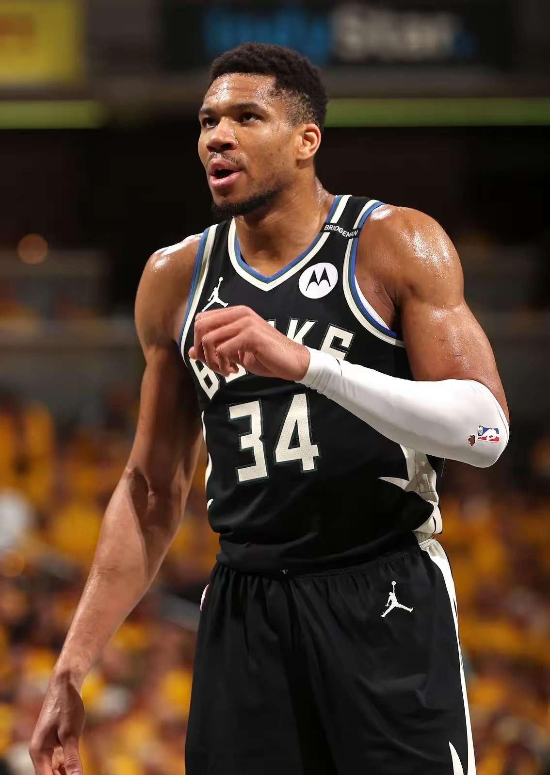  字母哥交易消息 