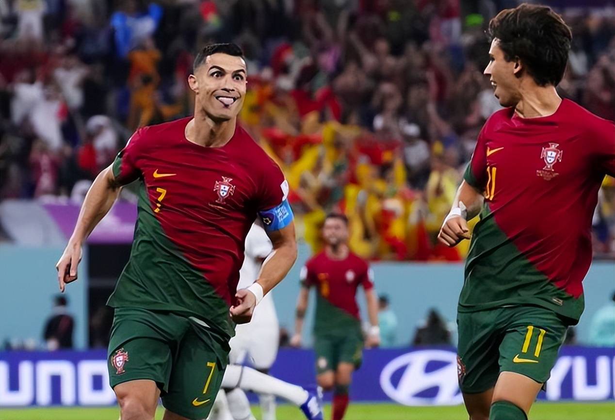 双黑闯入柯学世界笔趣阁