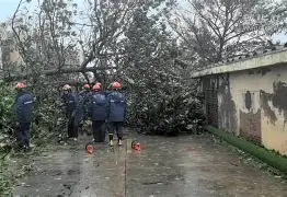 我们可能早被阿贾克斯的手雷炸死了吧